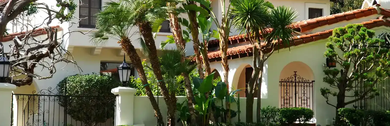 large house with palm trees