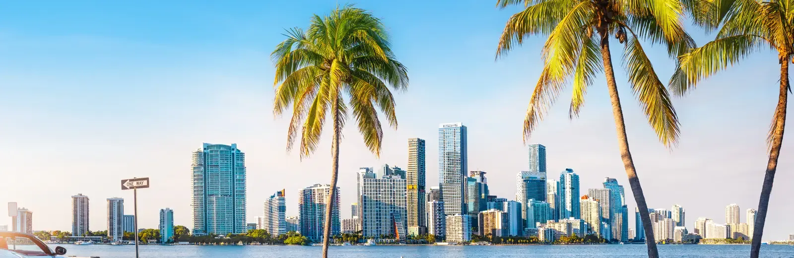 Miami Florida Skyline - Pest Control in Southern Florida