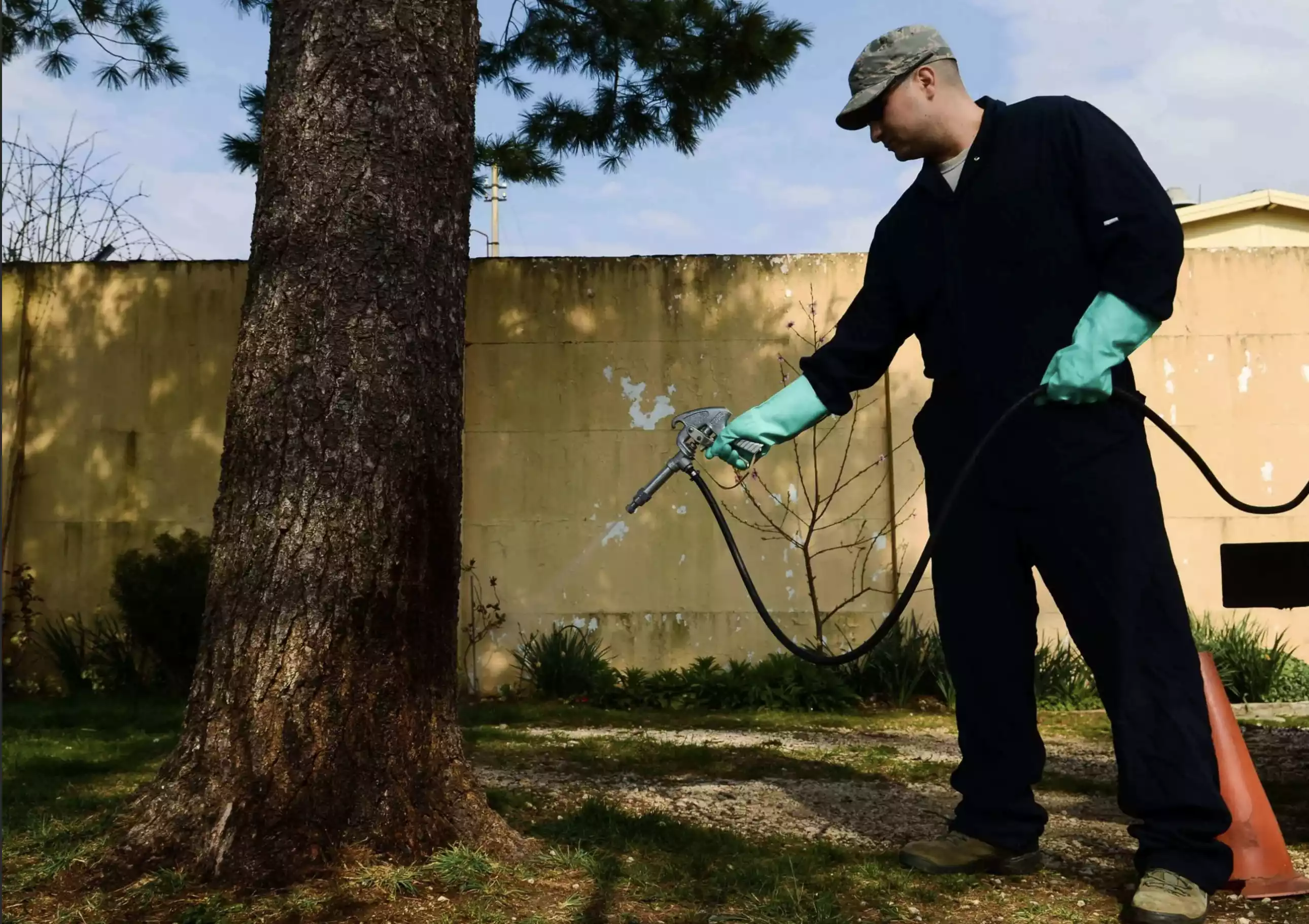 tech-spraying-tree